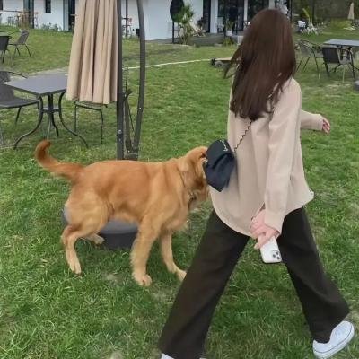 波拉克和他的情人